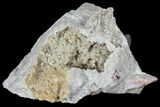 Sphalerite, Marcasite & Dolomite Association - Missouri #96388-3